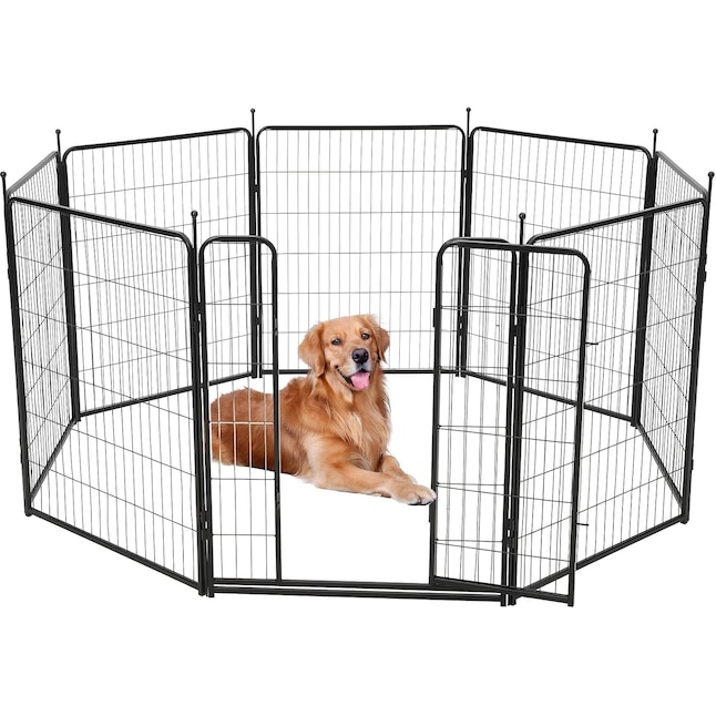 dog pen indoor