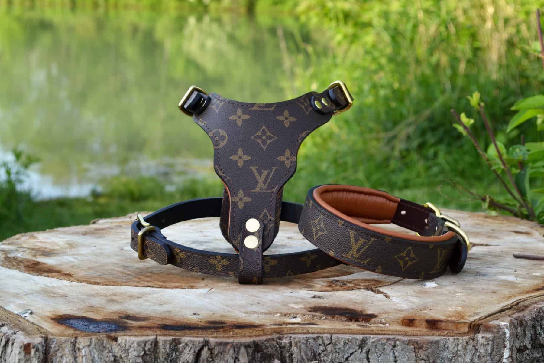 lv dog collar