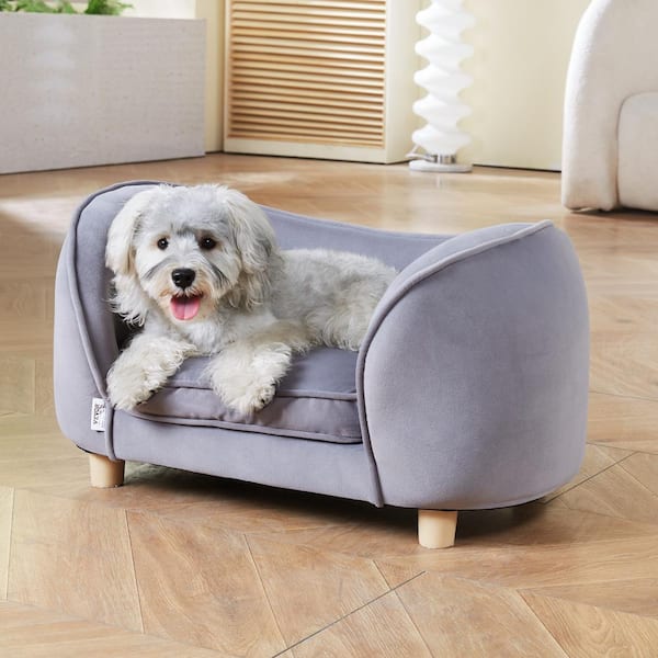 small dog bed