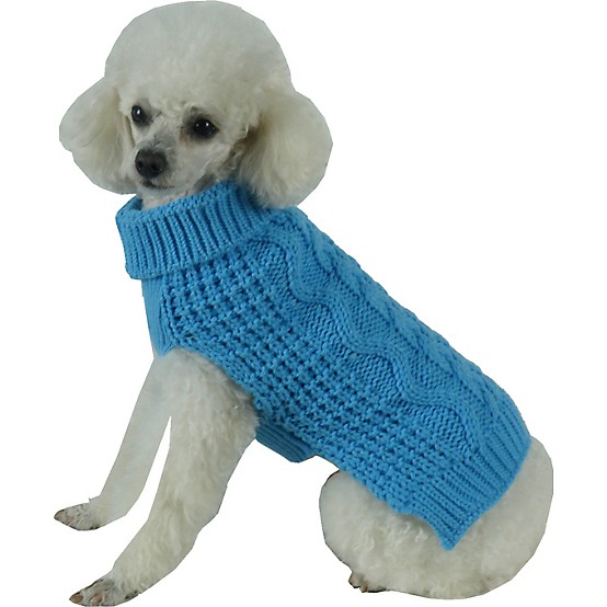 designer dog apparel