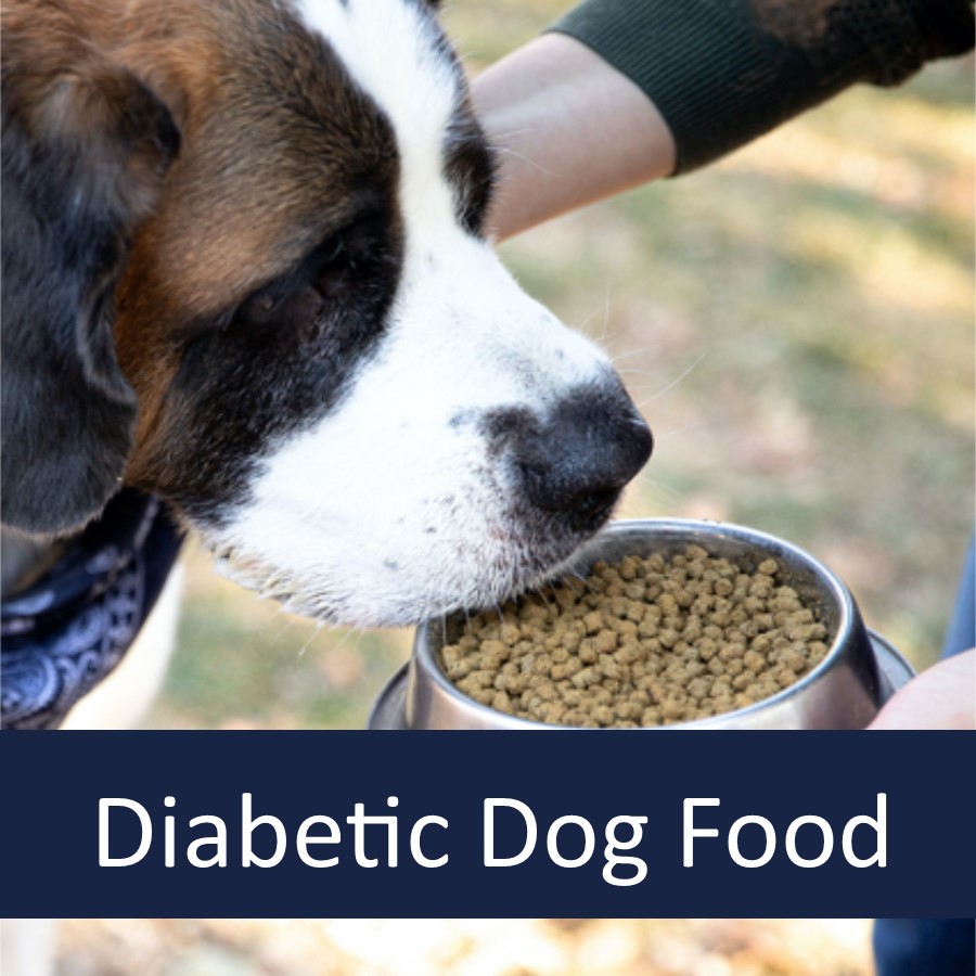 diabetic dog food