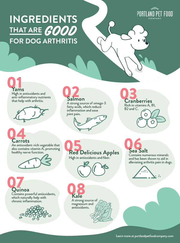 dog arthritis treatment