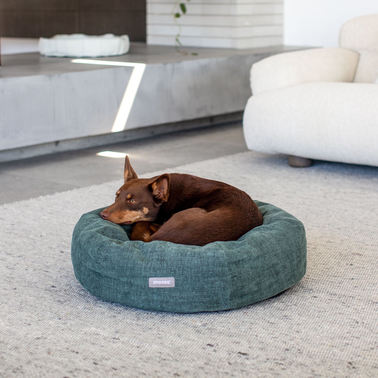 dog beds amazon