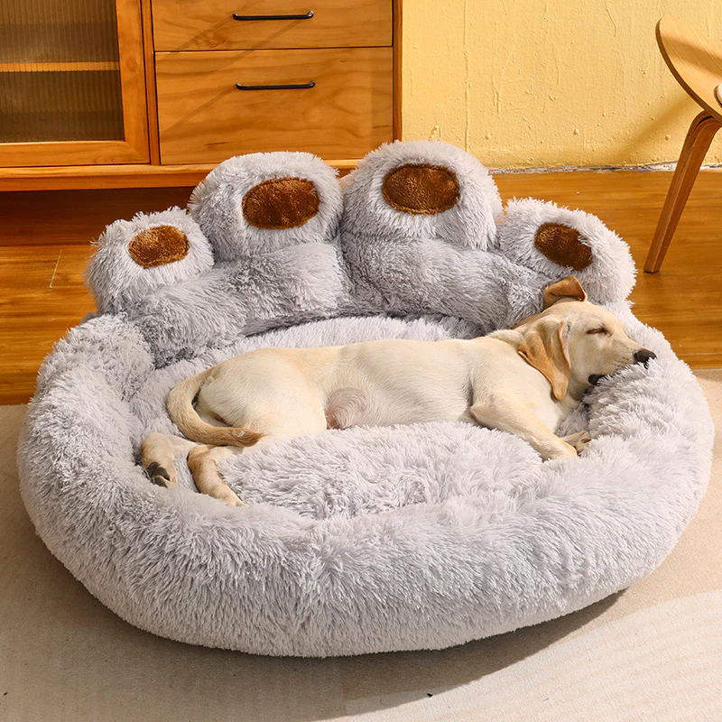 dog beds near me