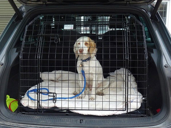 dog cage for car