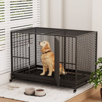 dog crates near me