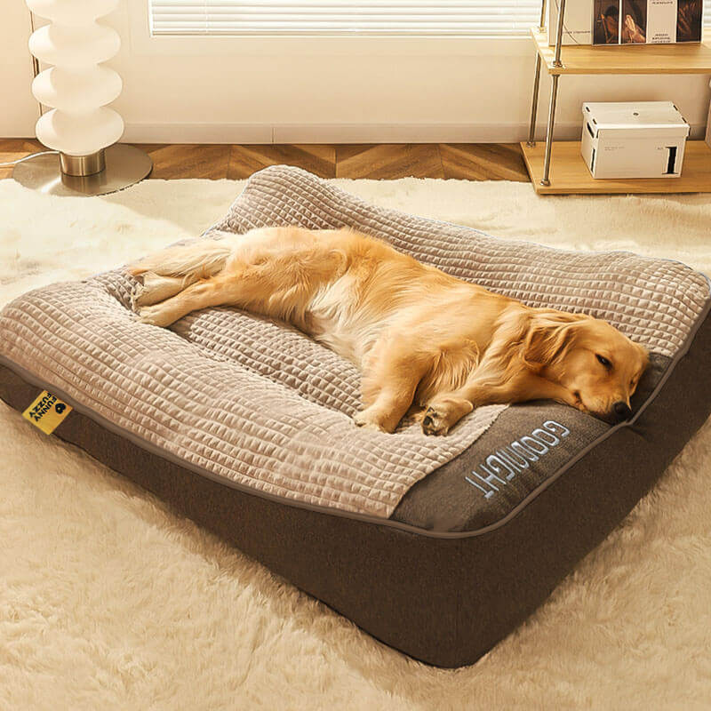 dog mattress