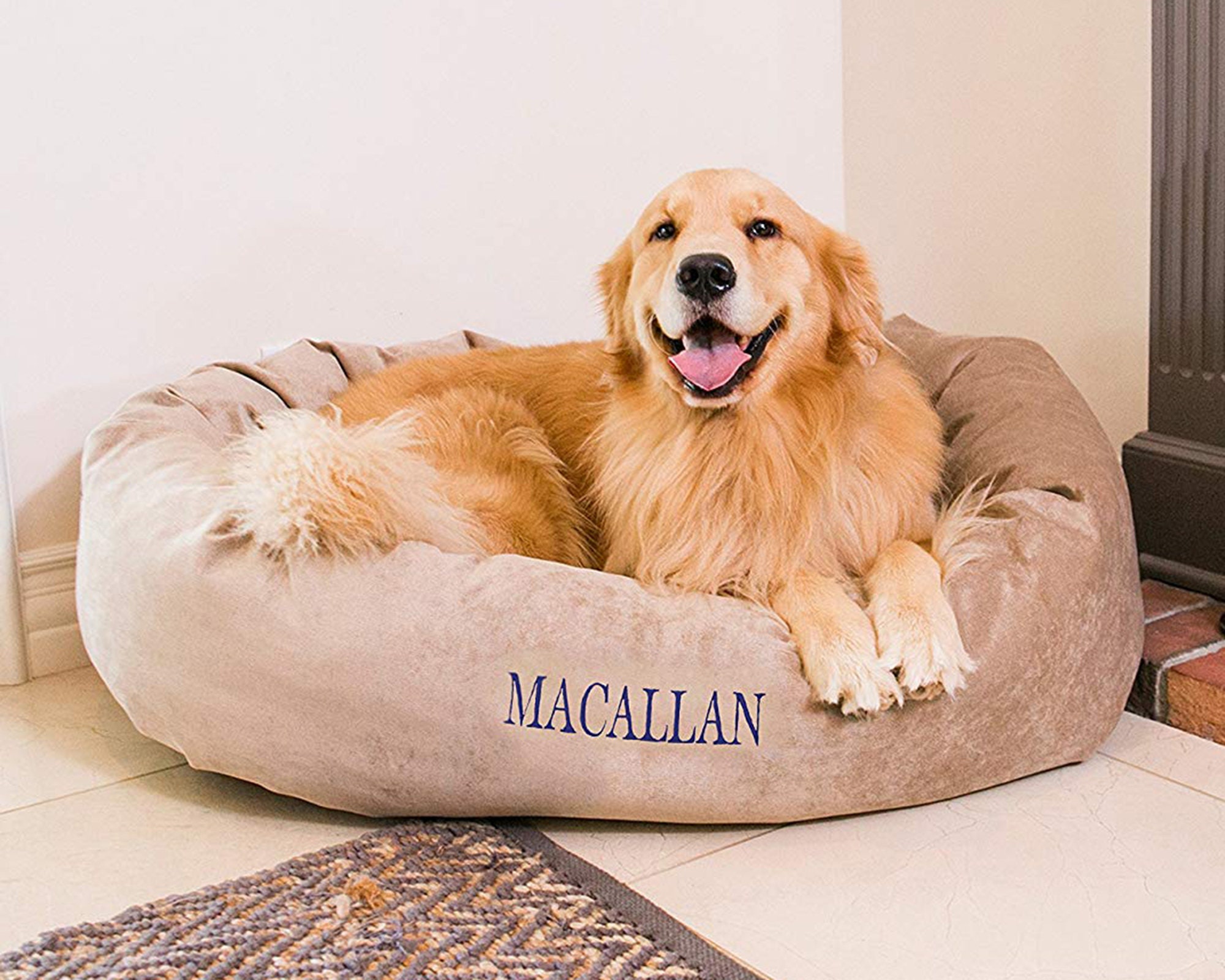 ll bean dog bed