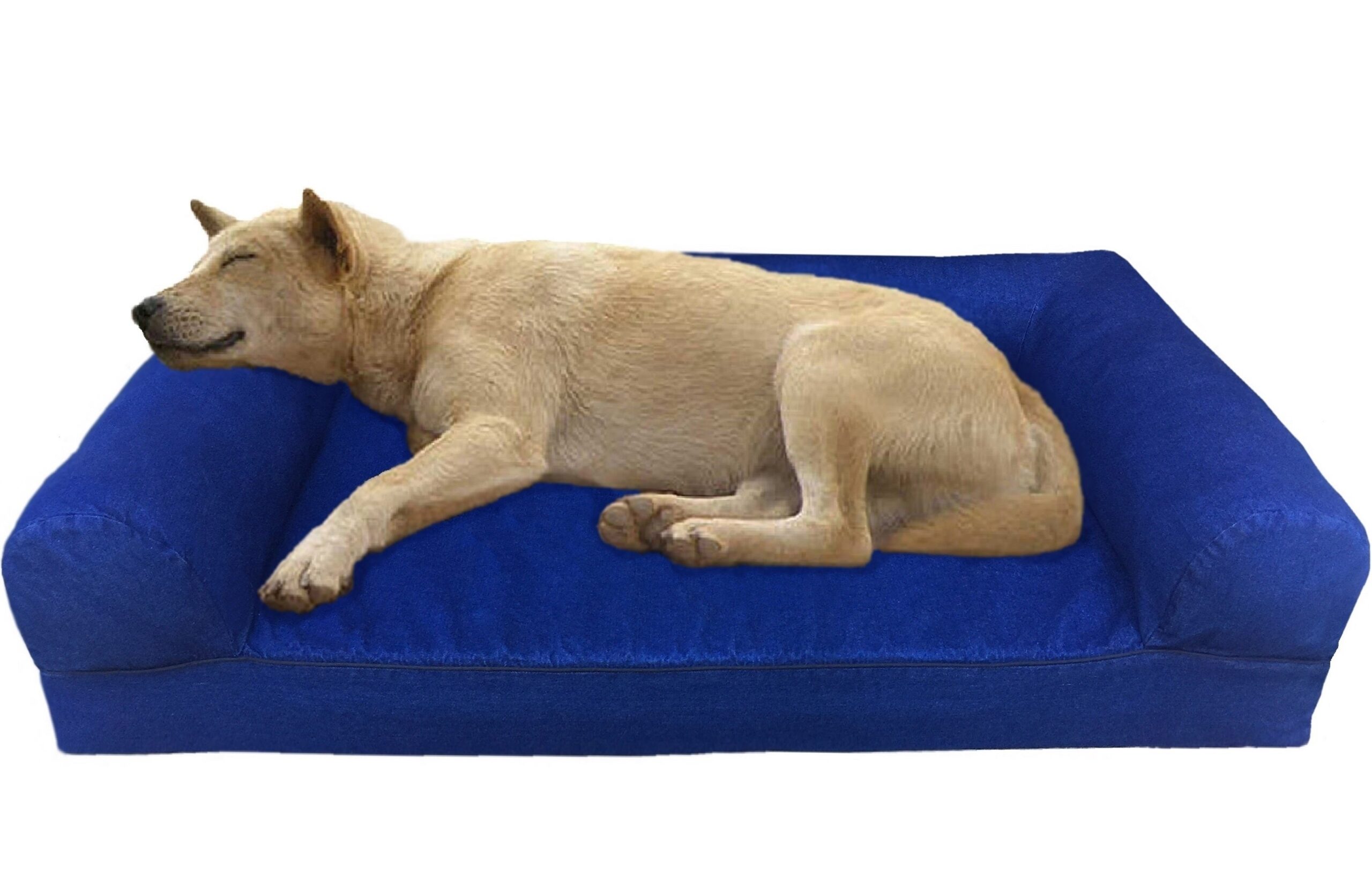 memory foam dog bed