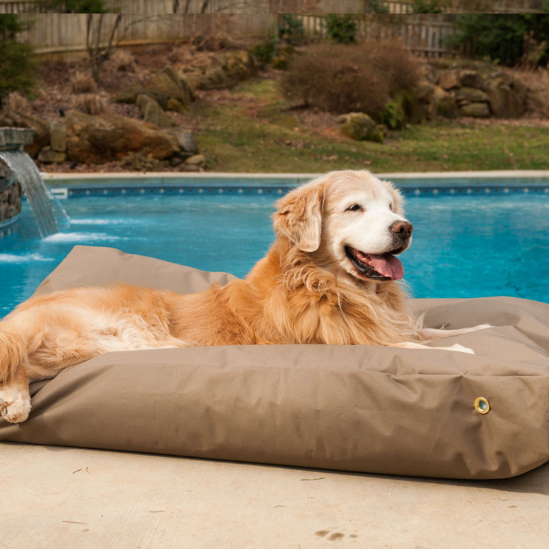 outdoor dog bed