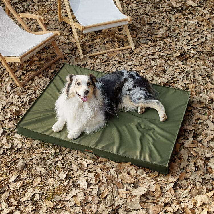 waterproof dog bed