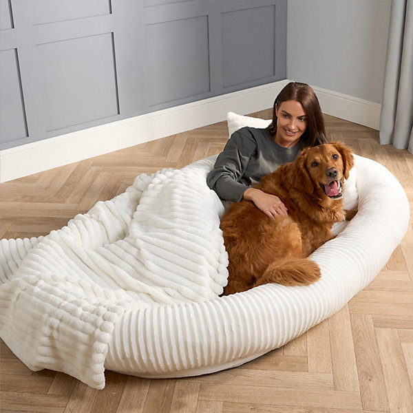 adult dog bed