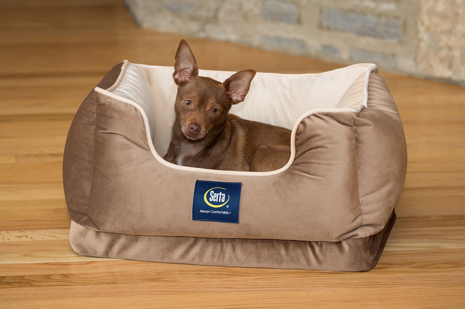 serta dog bed