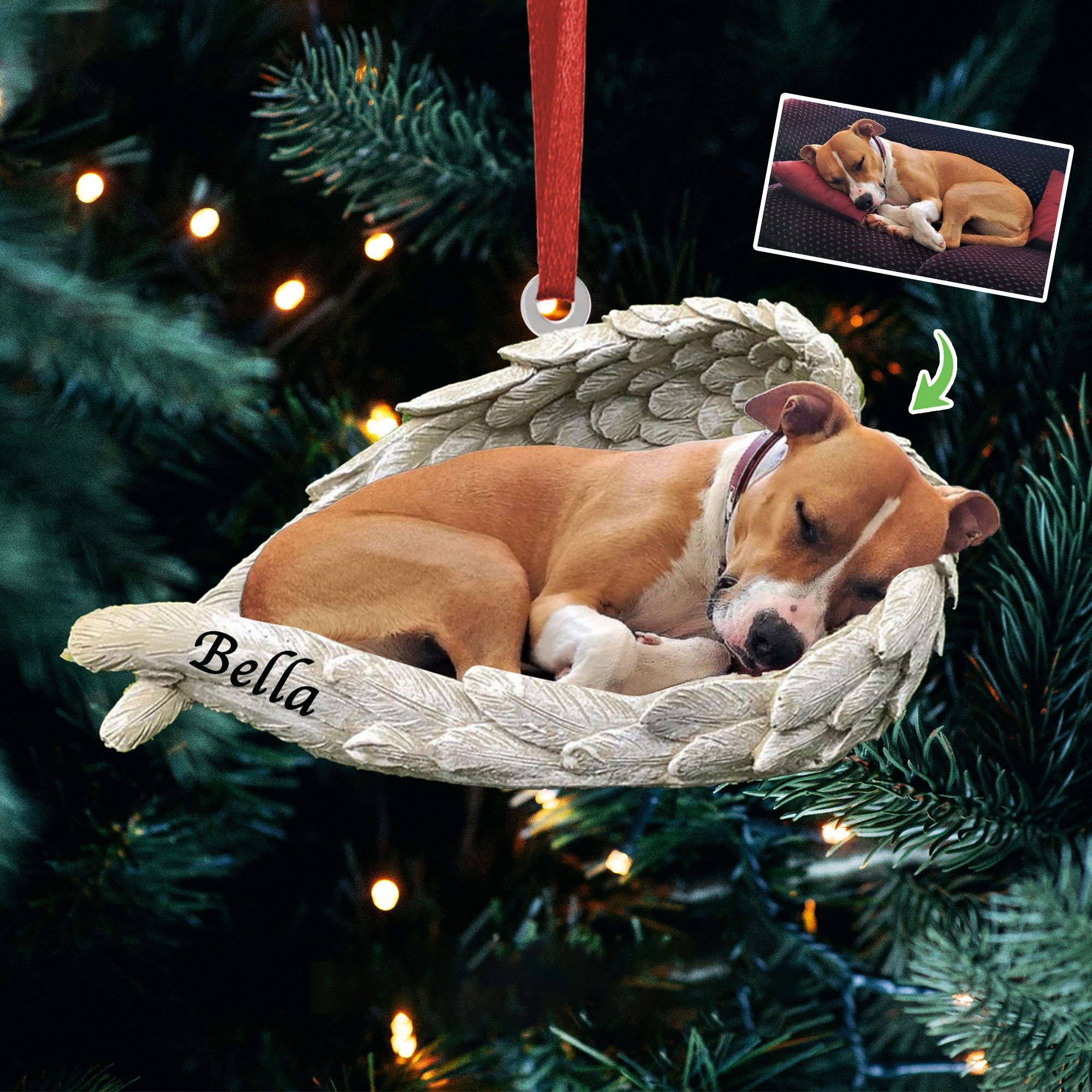 dog and owner gifts