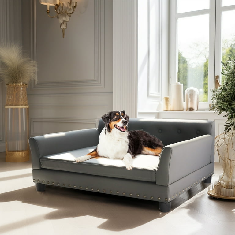 dog sofa bed
