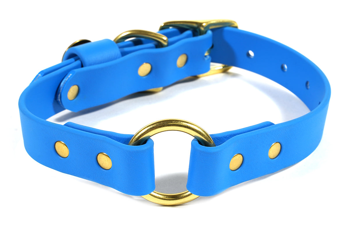 hunting dog collars