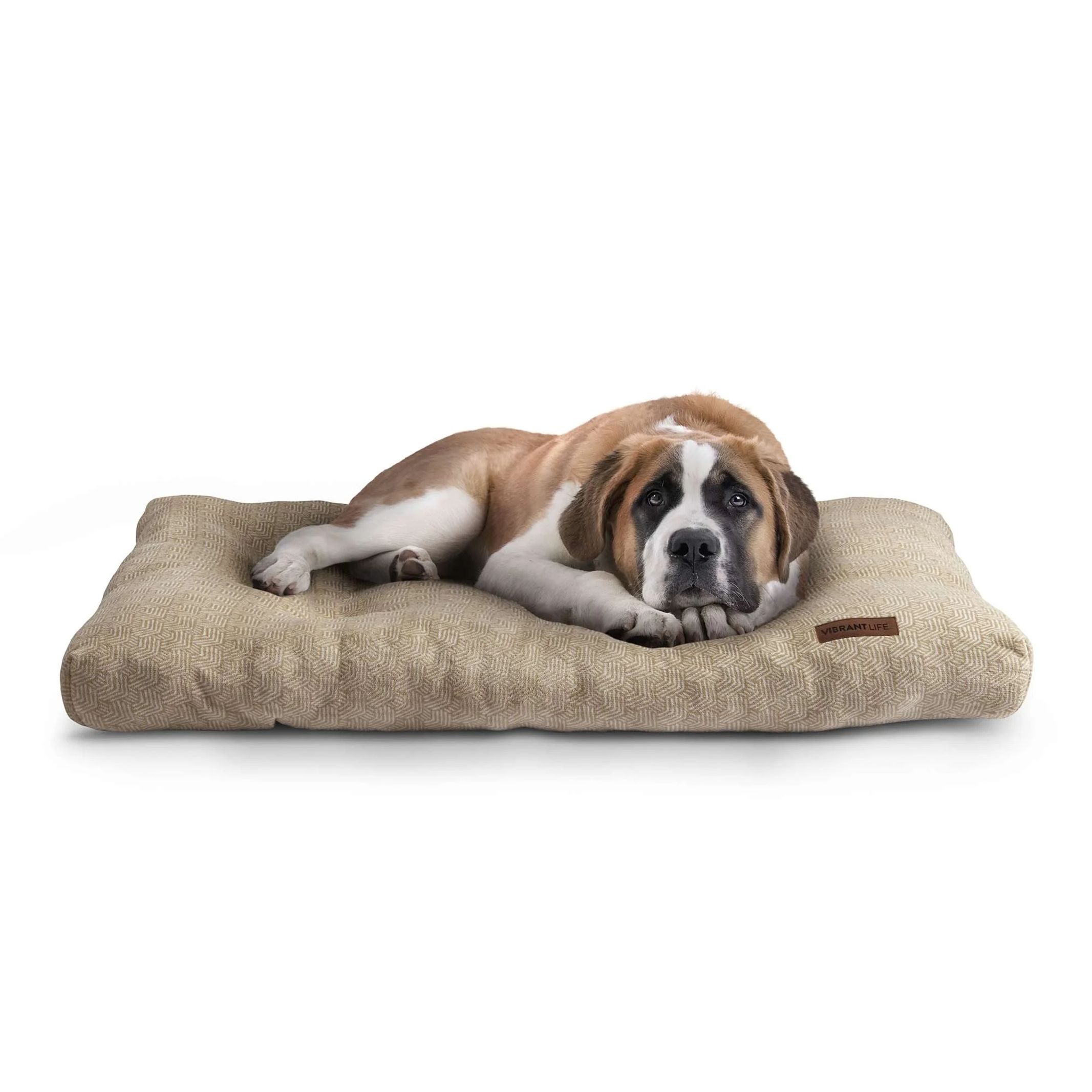 vibrant life dog bed