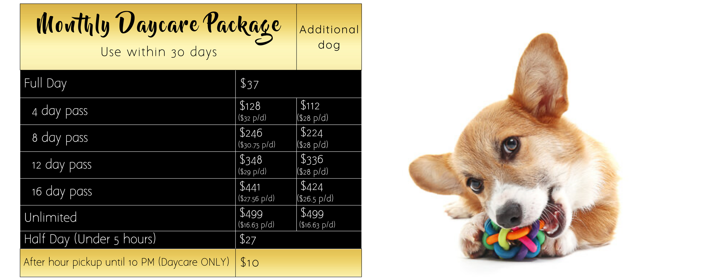 dog boarding prices near me
