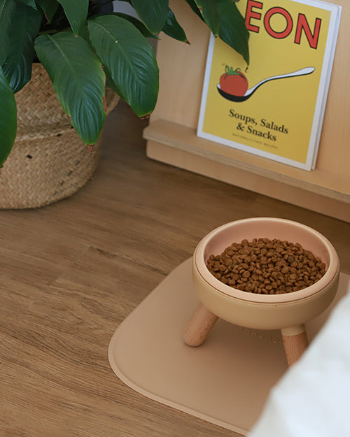 dog bowl mat