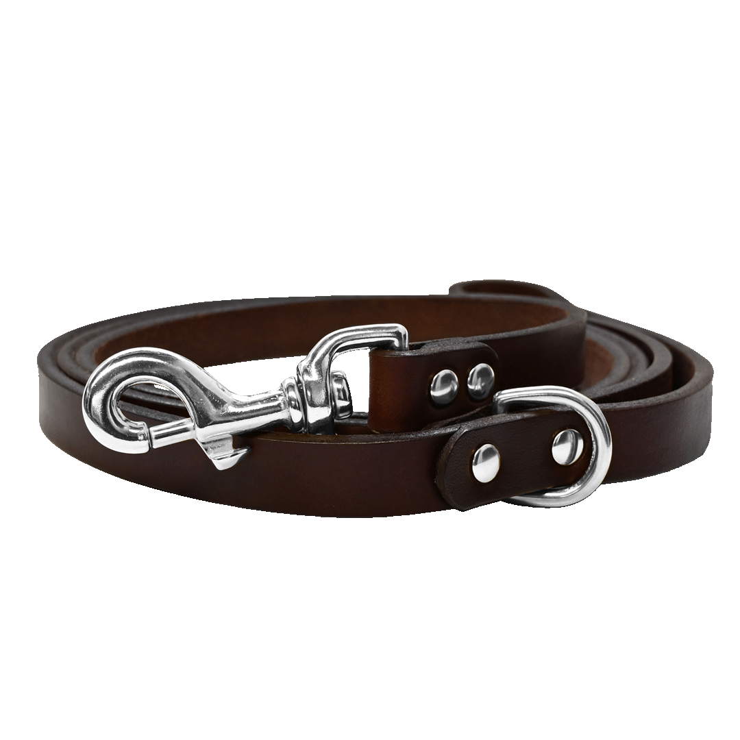 leather dog leash