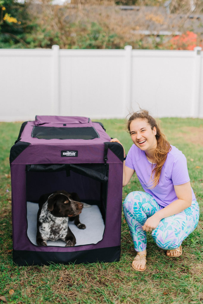 portable dog crate