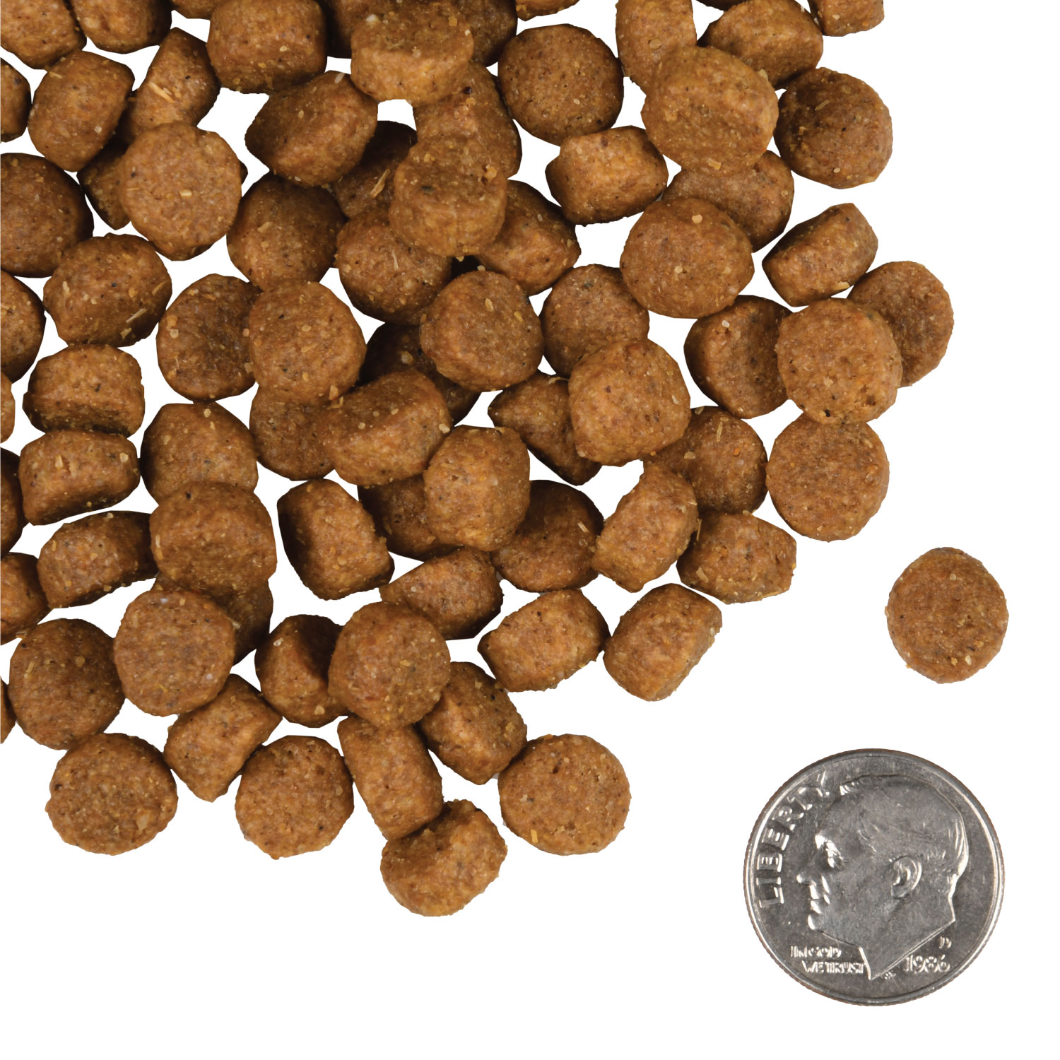 small dog food