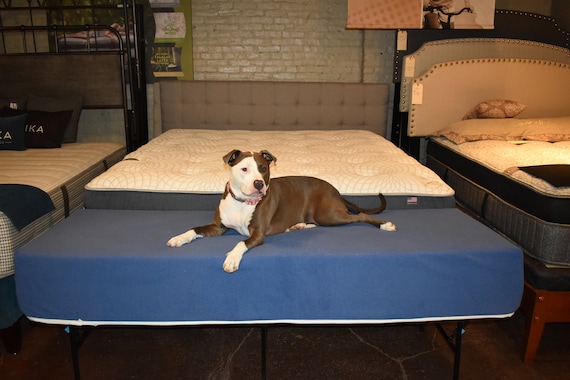 hooman dog bed