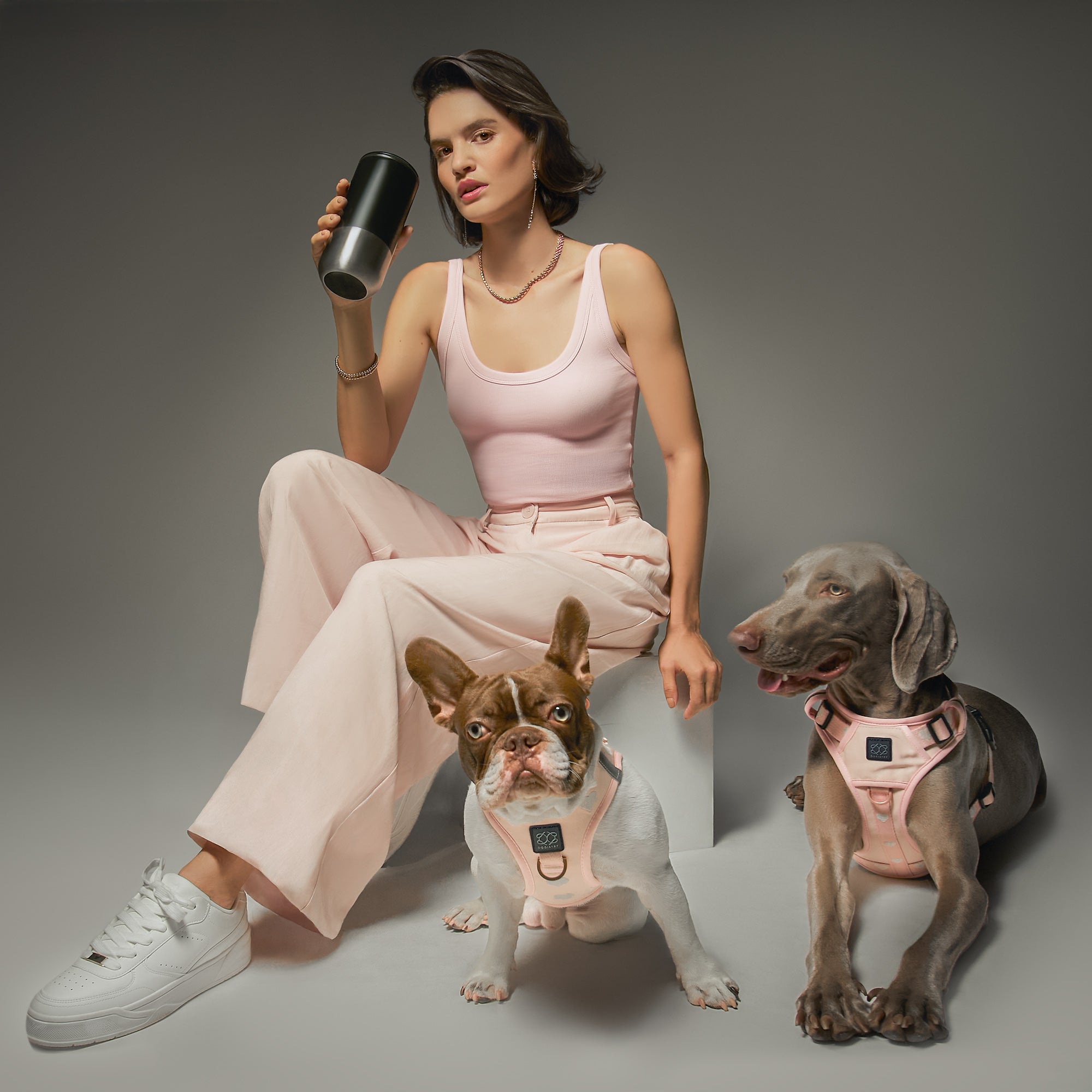 luxury dog collars