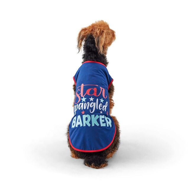 dog apparel near me