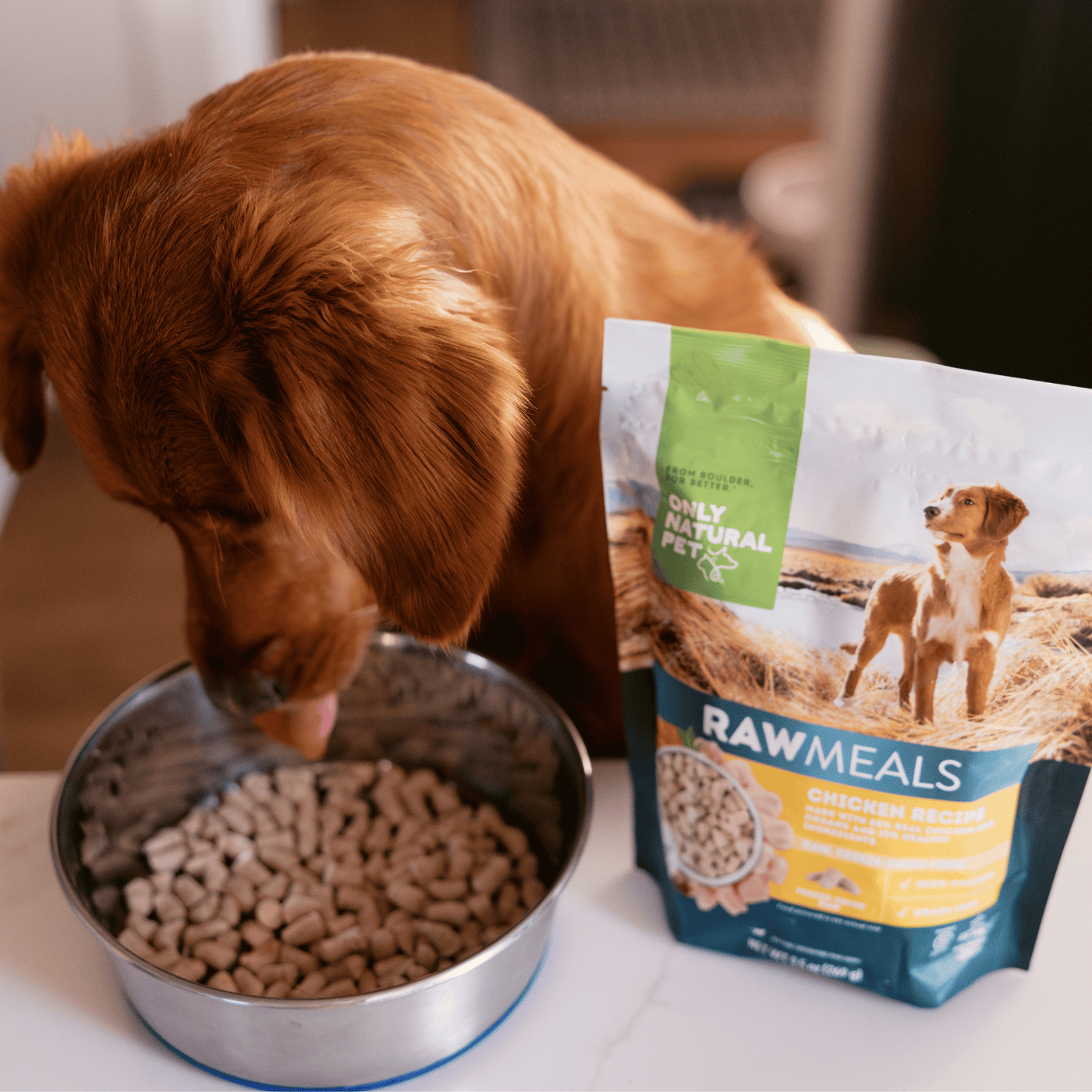 all natural dog food