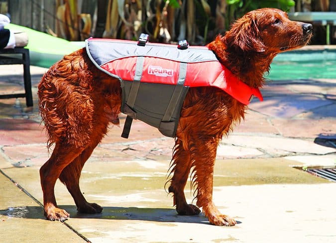 best dog life jacket