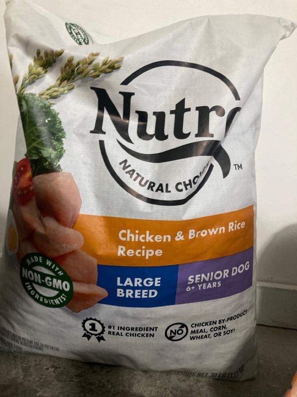 best dry dog food for large dogs