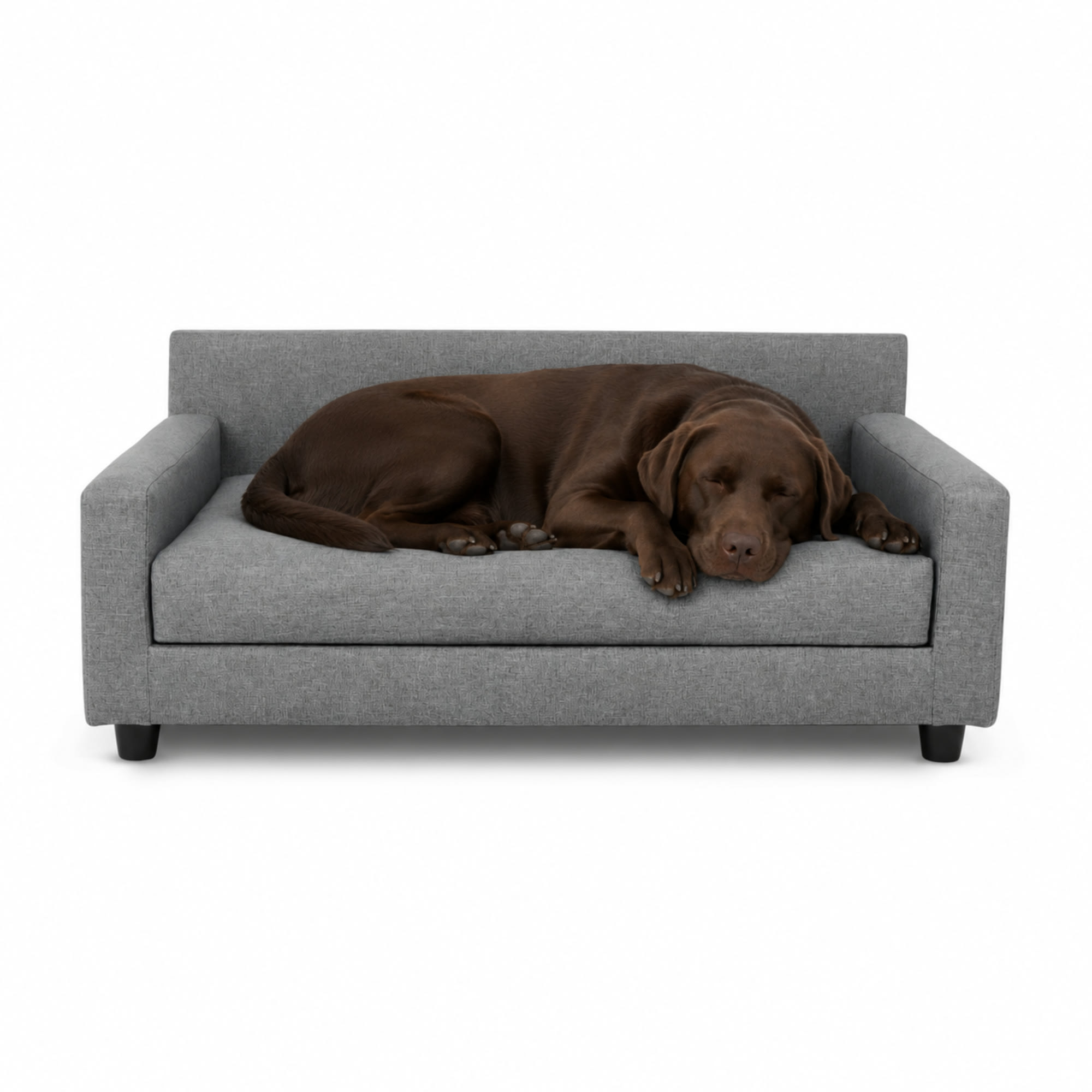 best orthopedic dog bed