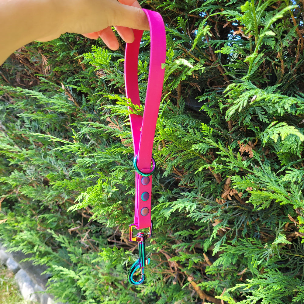 biothane leashes for dogs