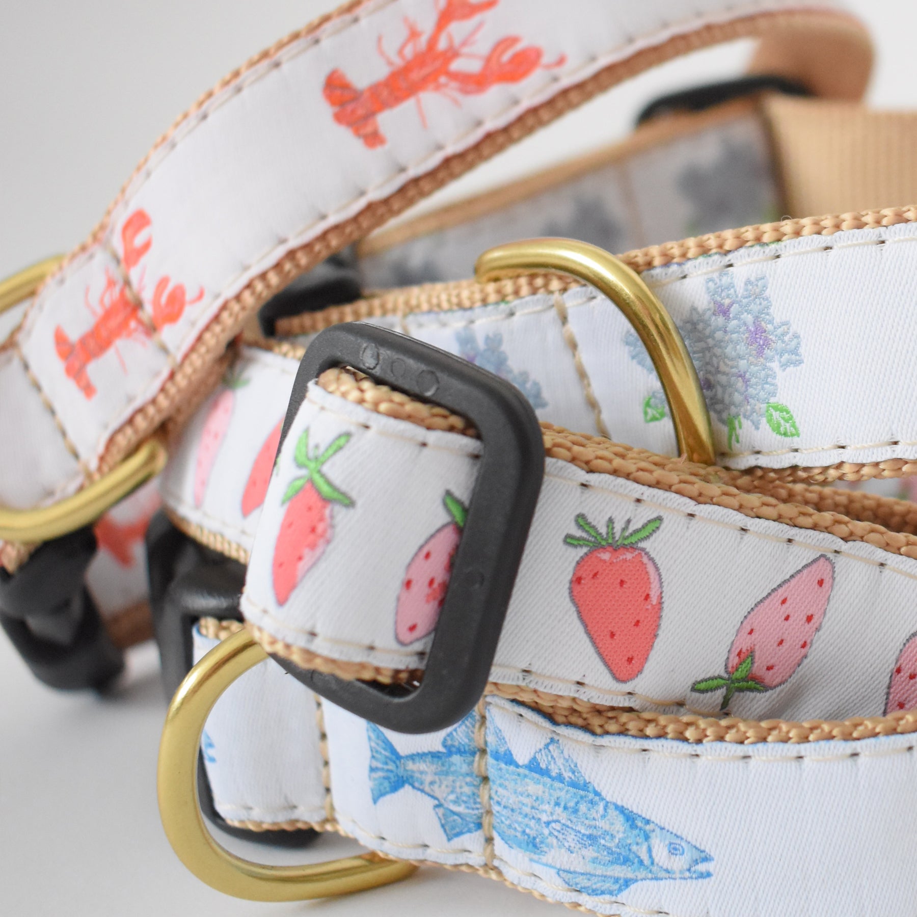 cute dog collars