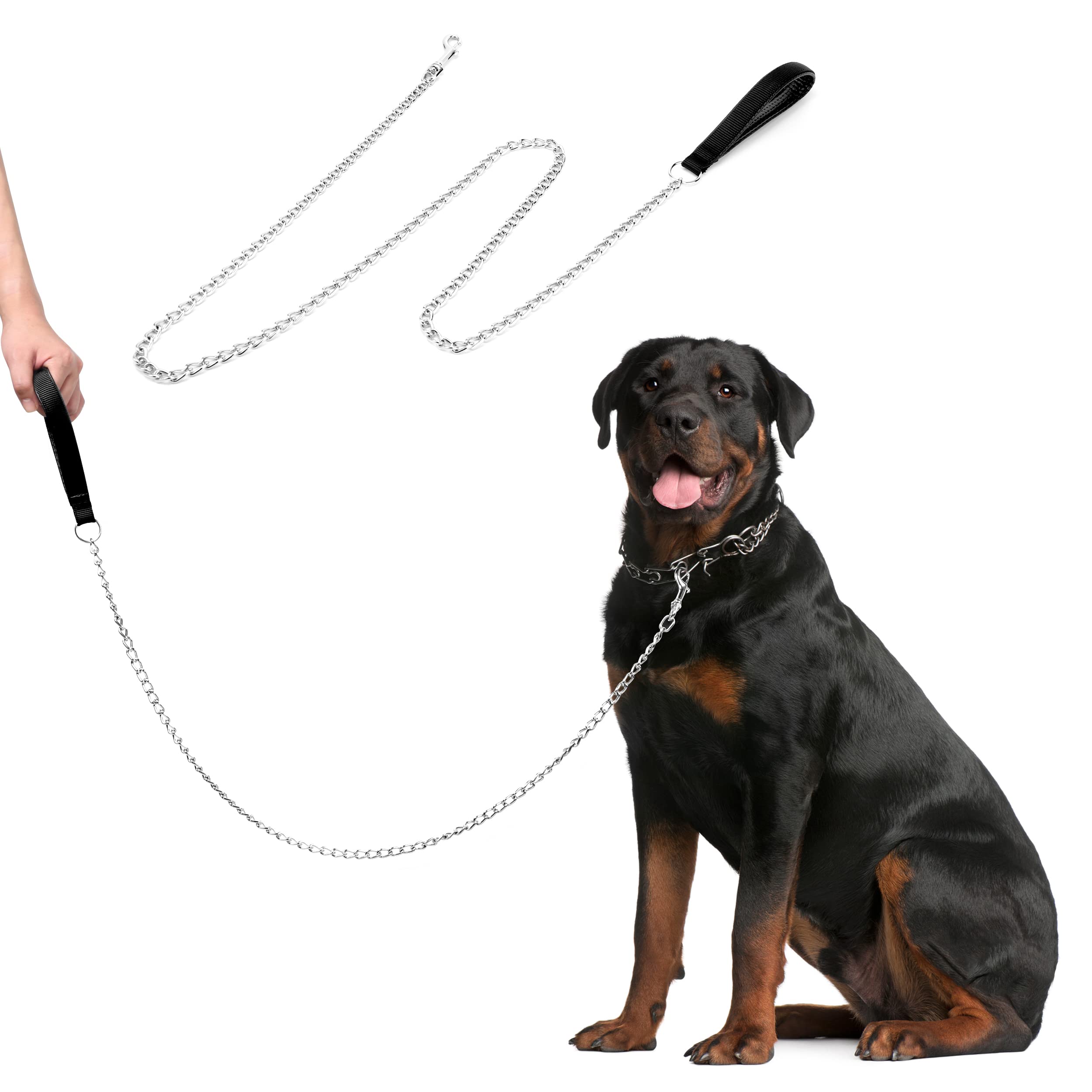 dog lead leash