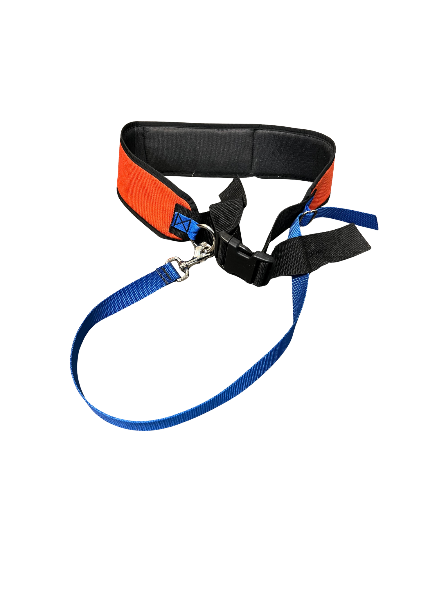 dog leash belt