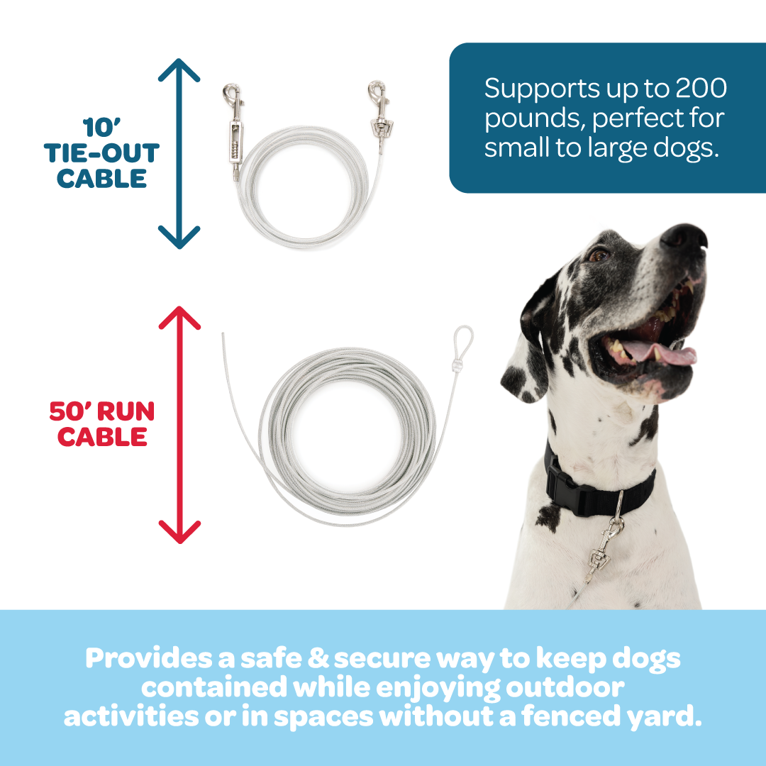 long dog leads for small dogs