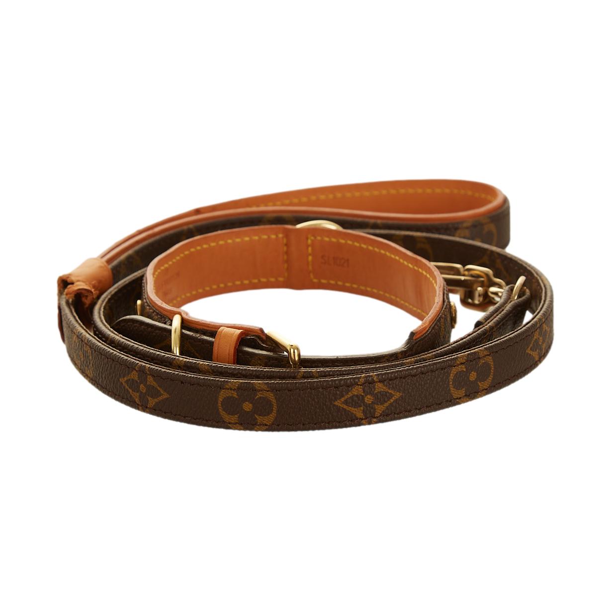 louis vuitton dog leash