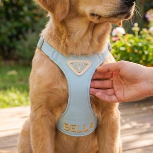 lv dog harness