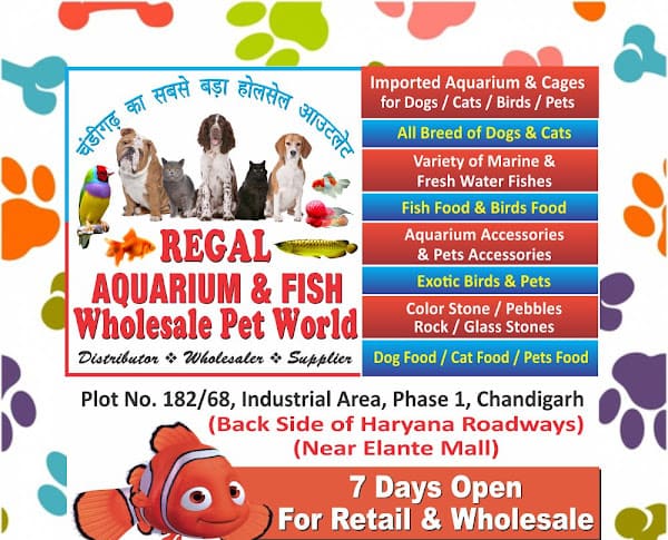 wholesale pet supplies near me